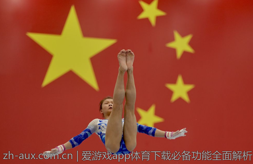 爱游戏app体育下载必备功能全面解析
